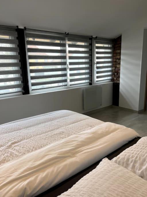 Appartement Duplex Avec Jardin Ingersheim Dış mekan fotoğraf